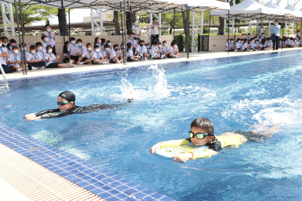 swimp2_6
