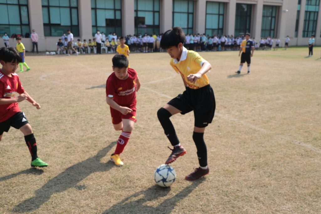 football46_1