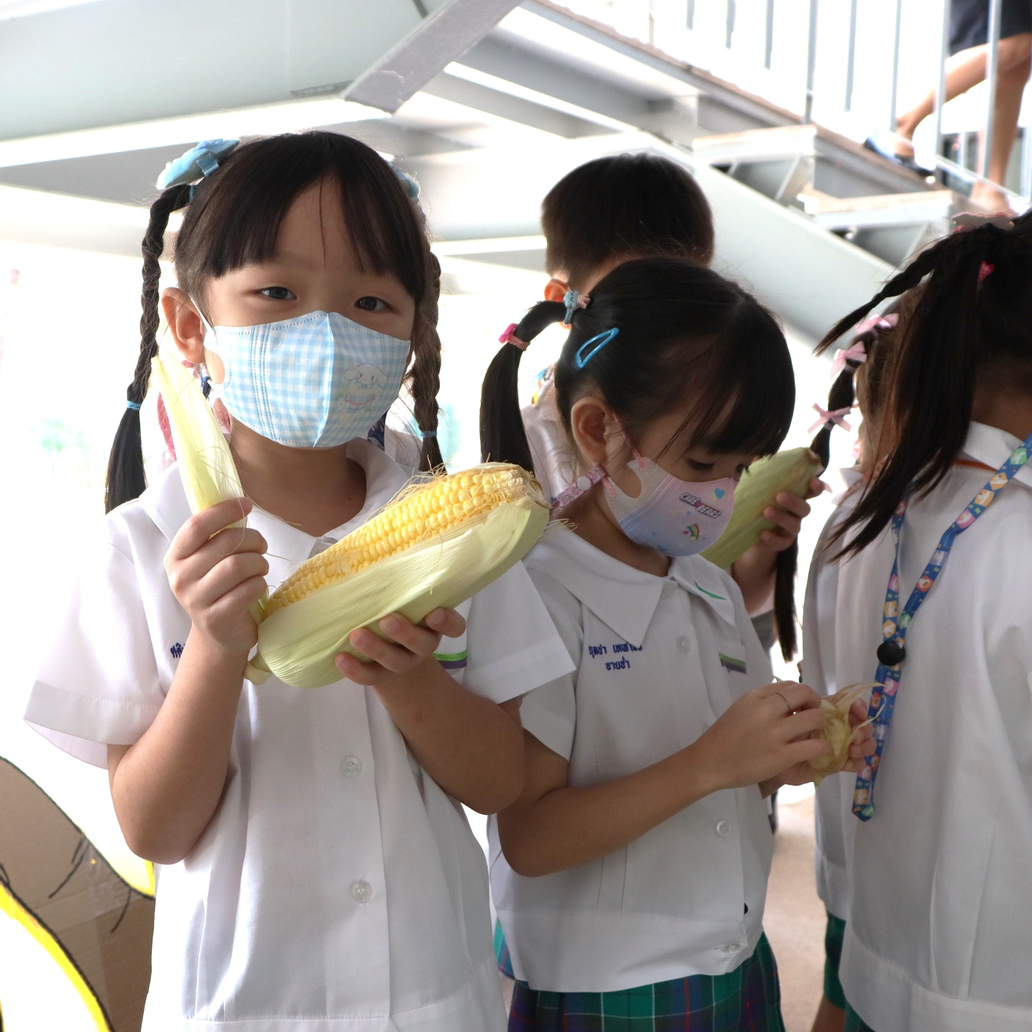 img_corn1