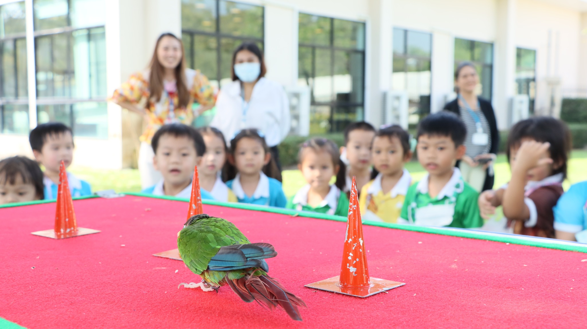 project_bird4