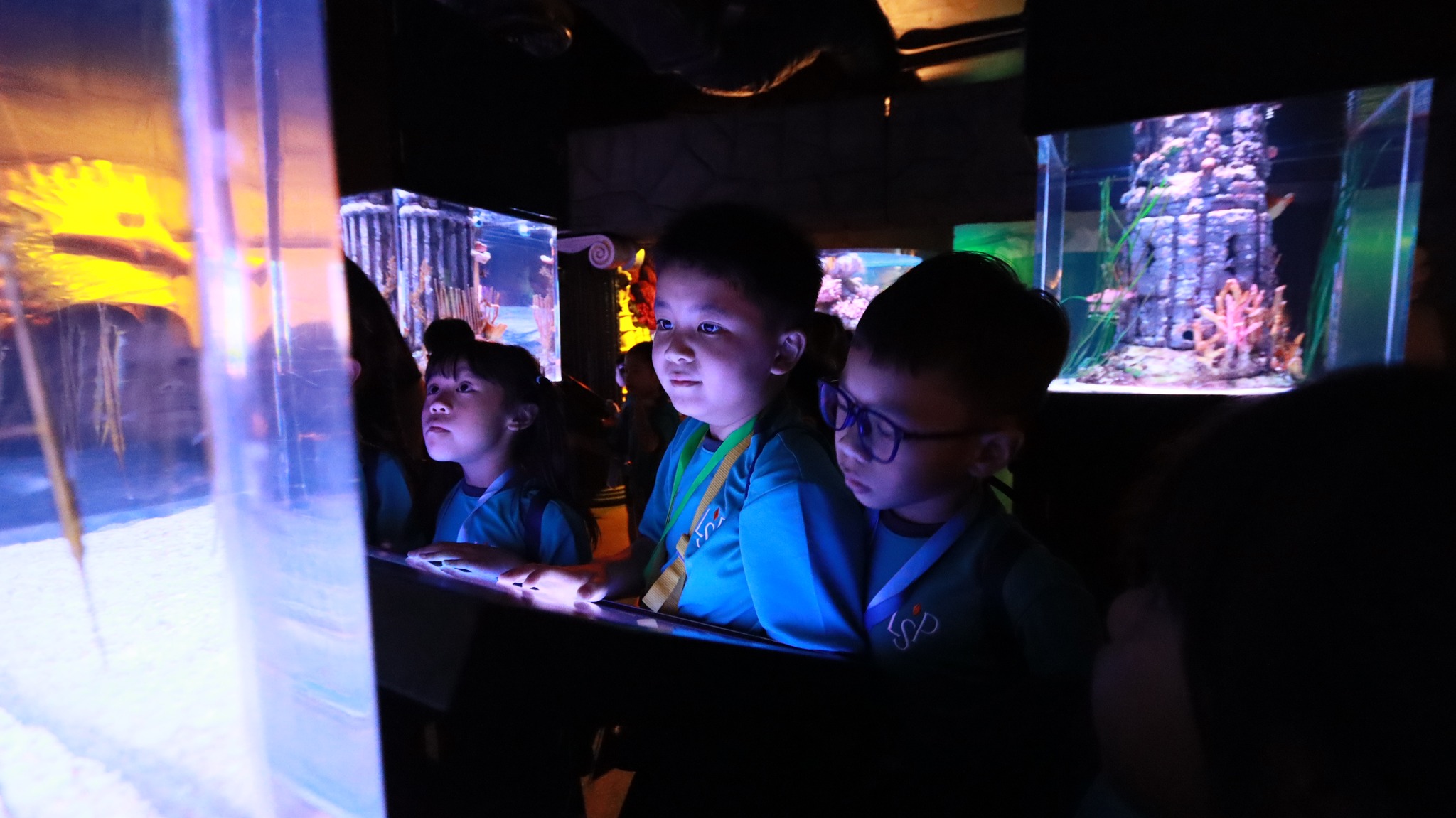 sealife (10)