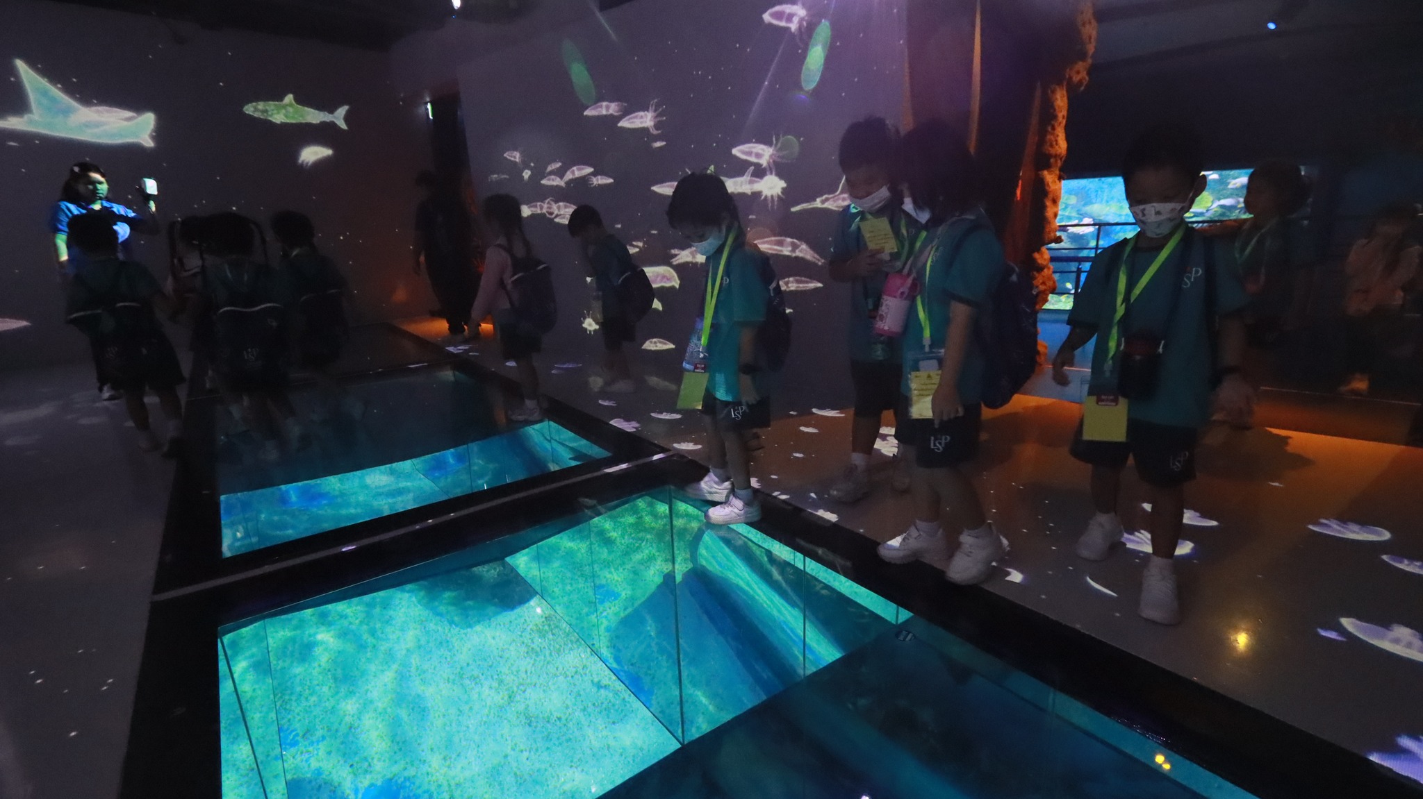 sealife (11)