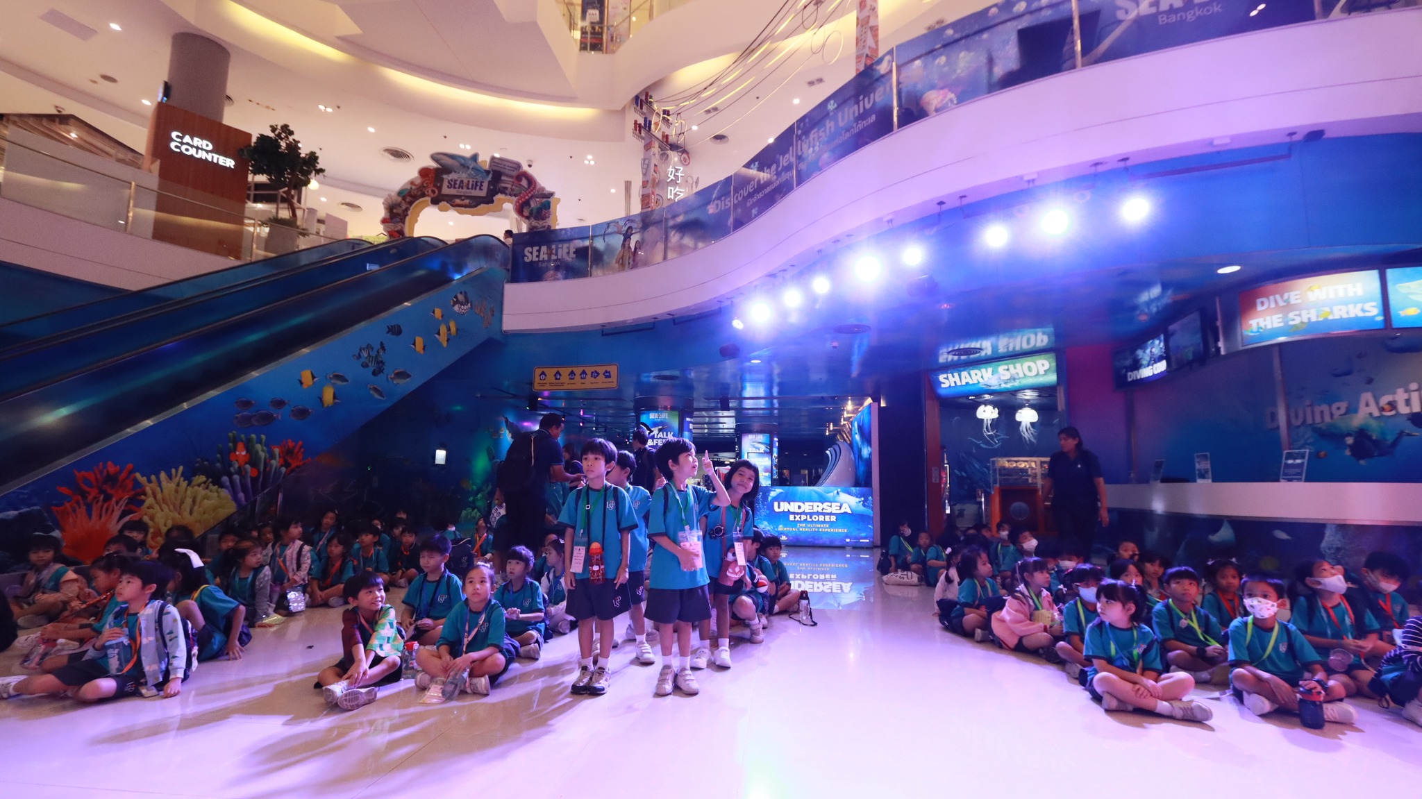 sealife (12)