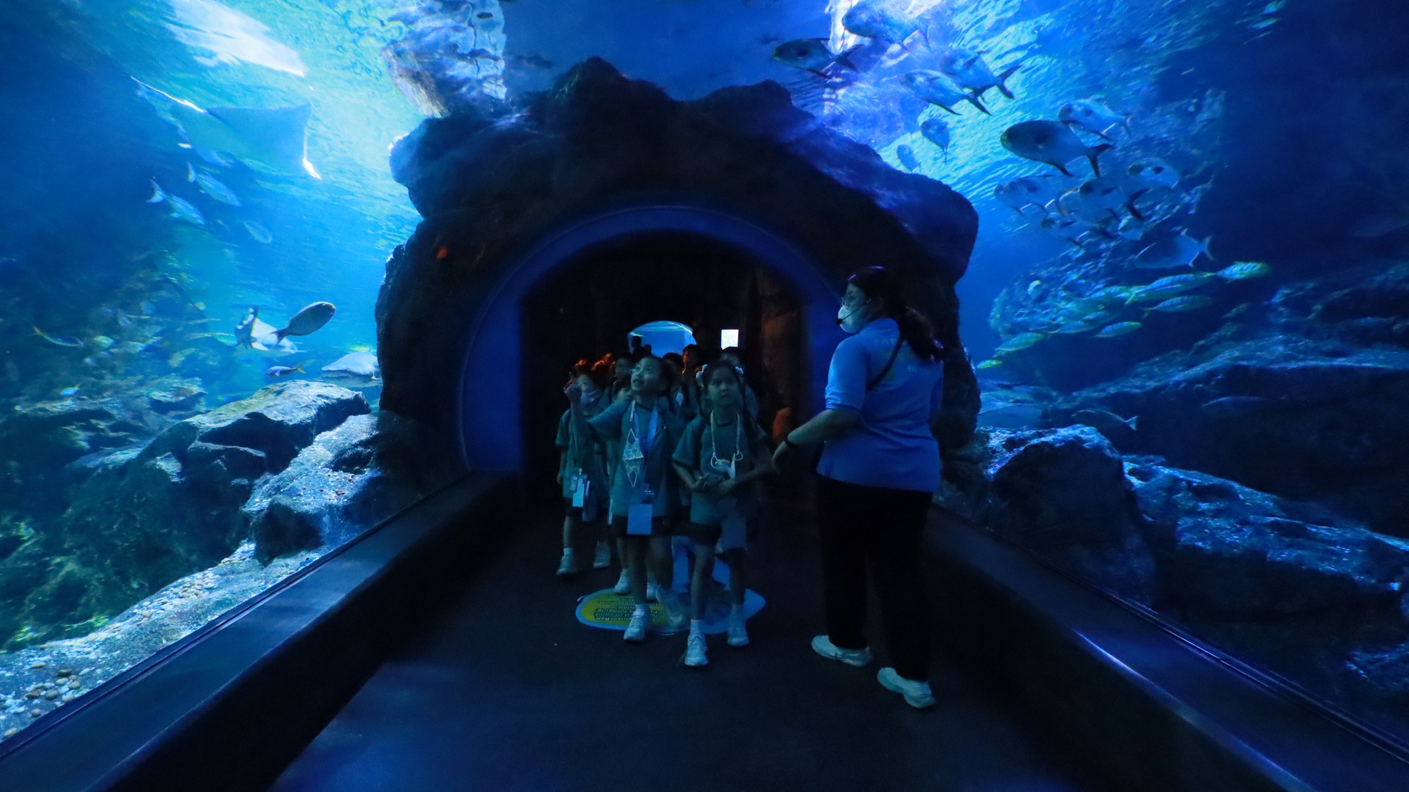 sealife (8)