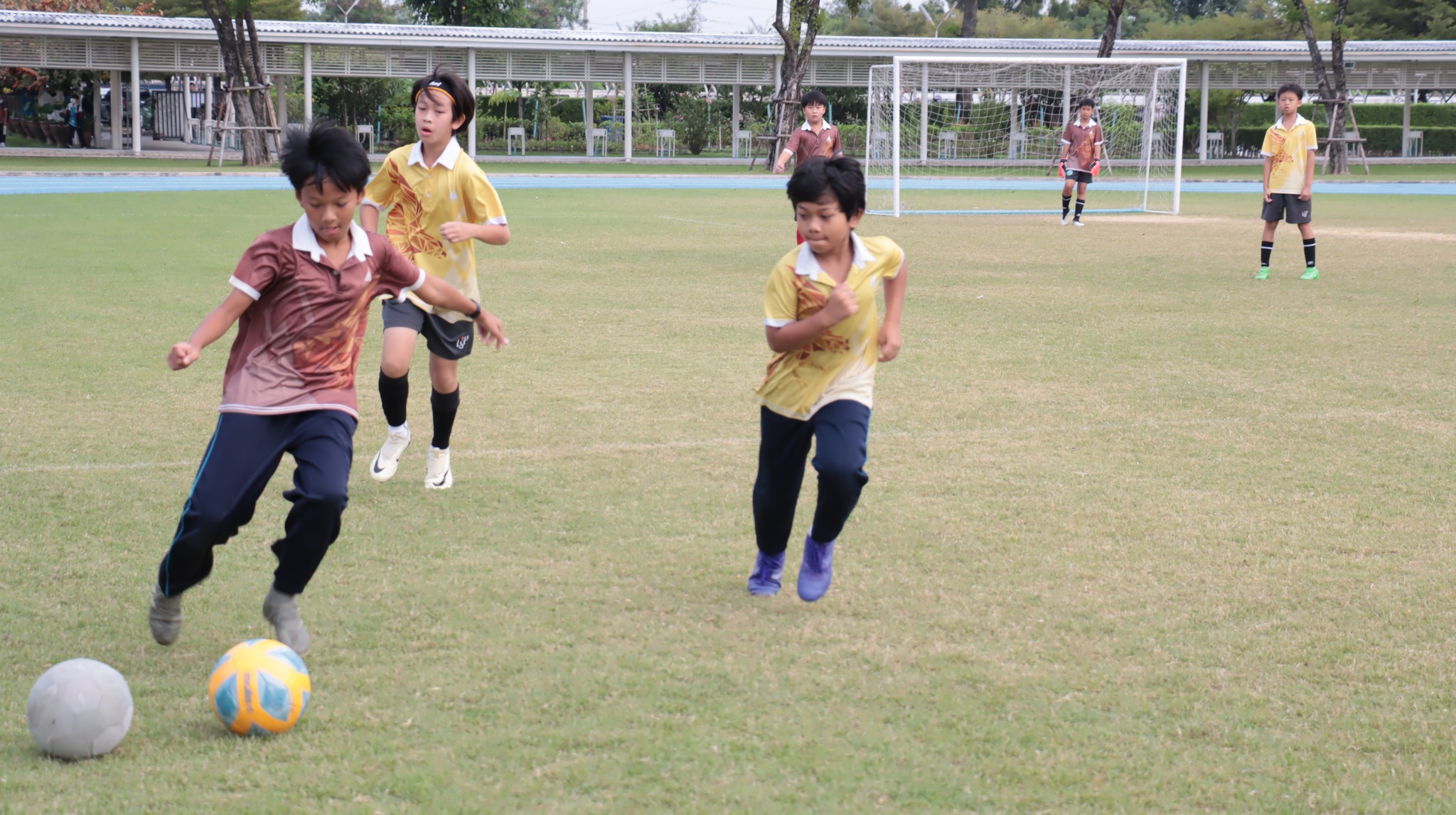 football_4-6 (2)