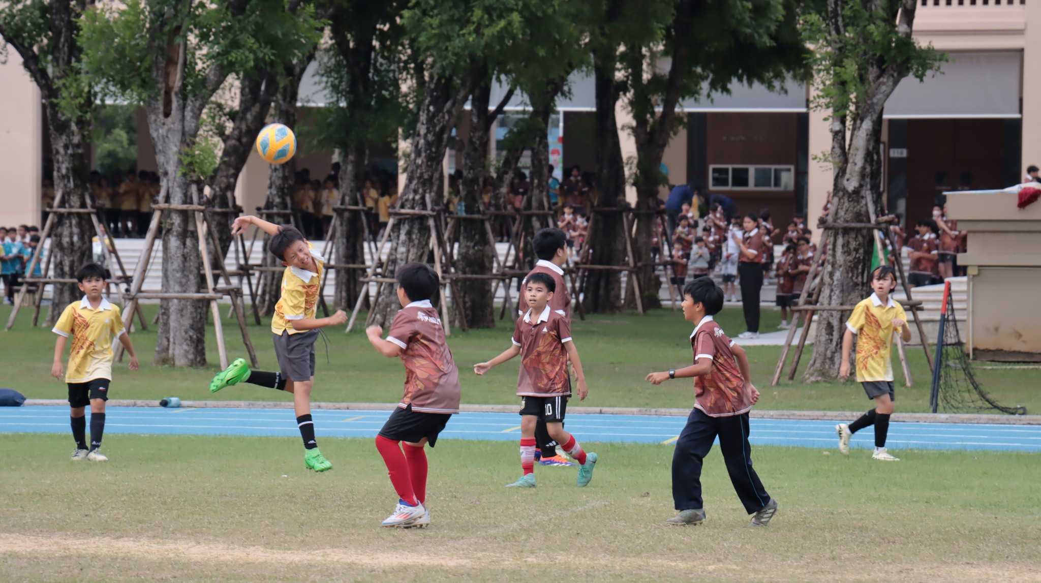 football_4-6 (4)