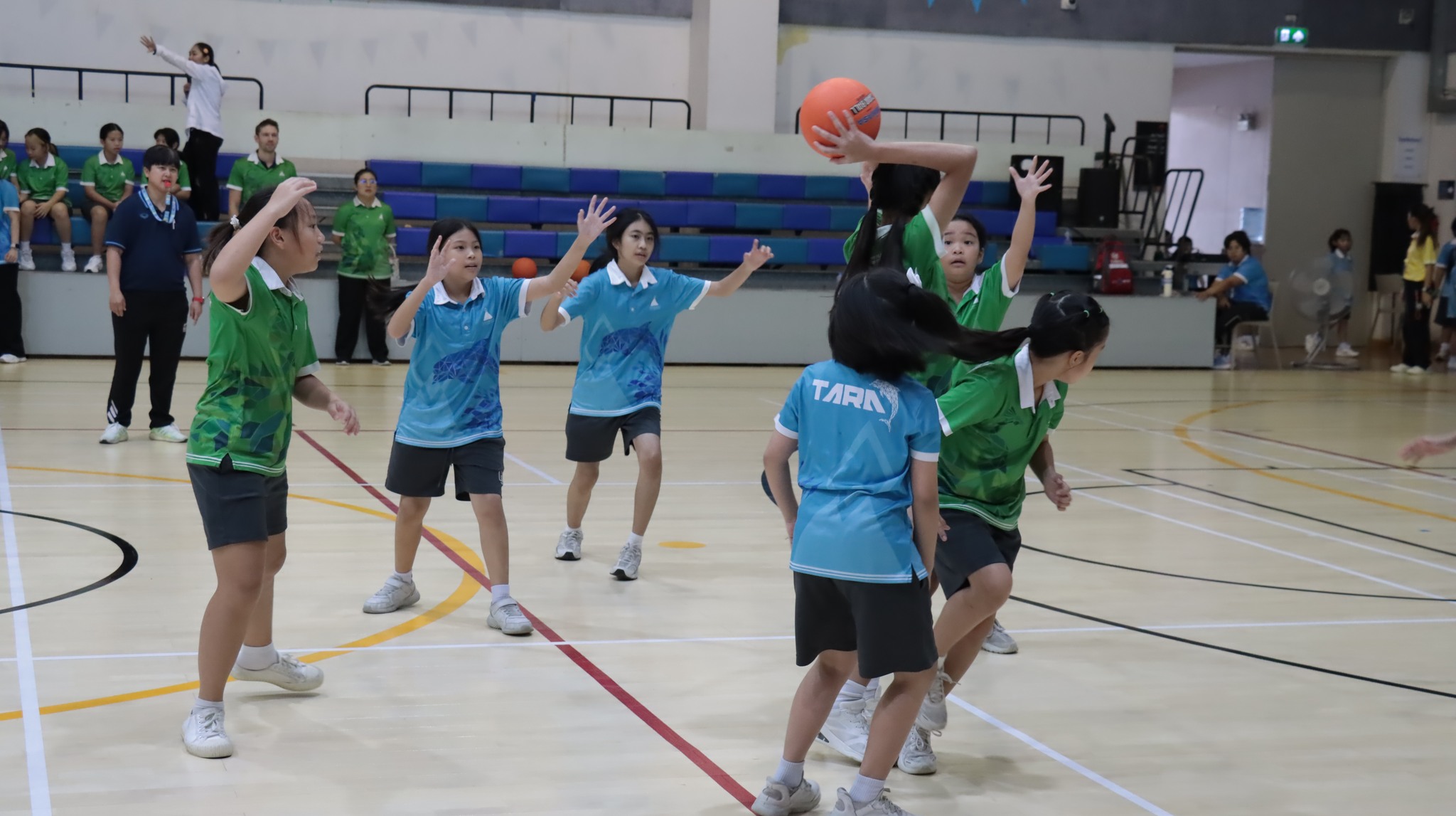 shareball_4-6 (10)