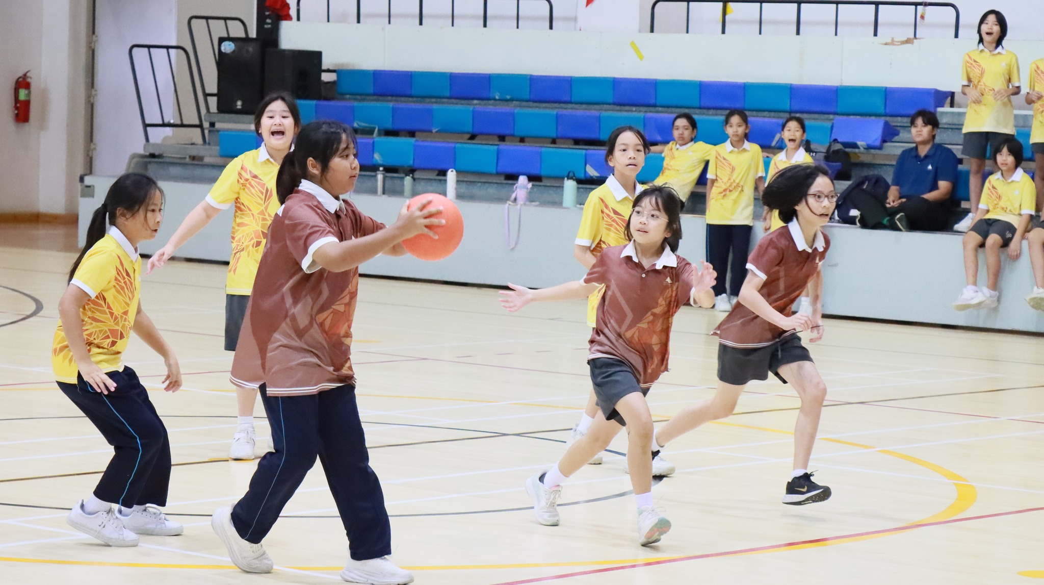 shareball_4-6 (12)