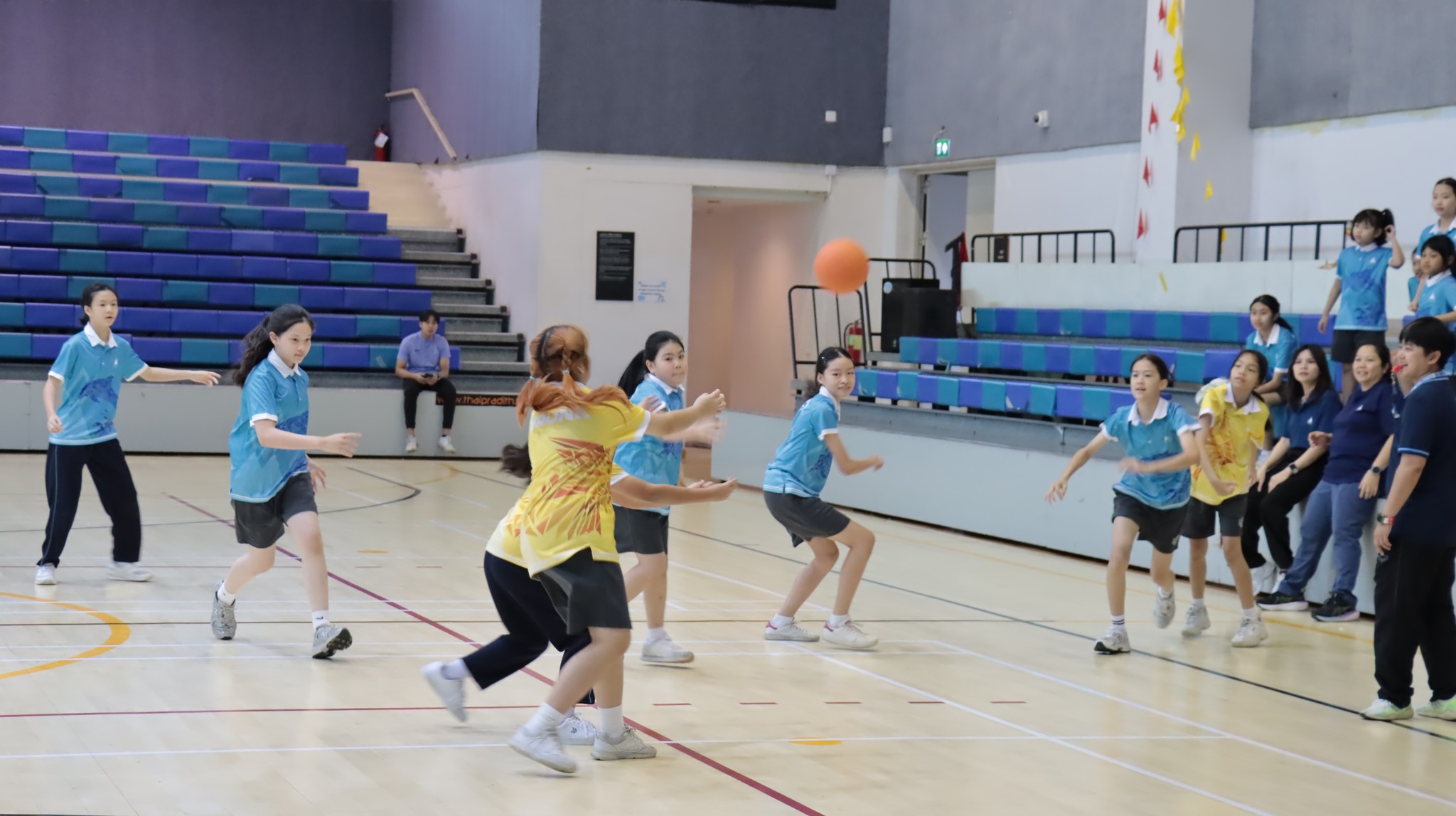 shareball_4-6 (6)