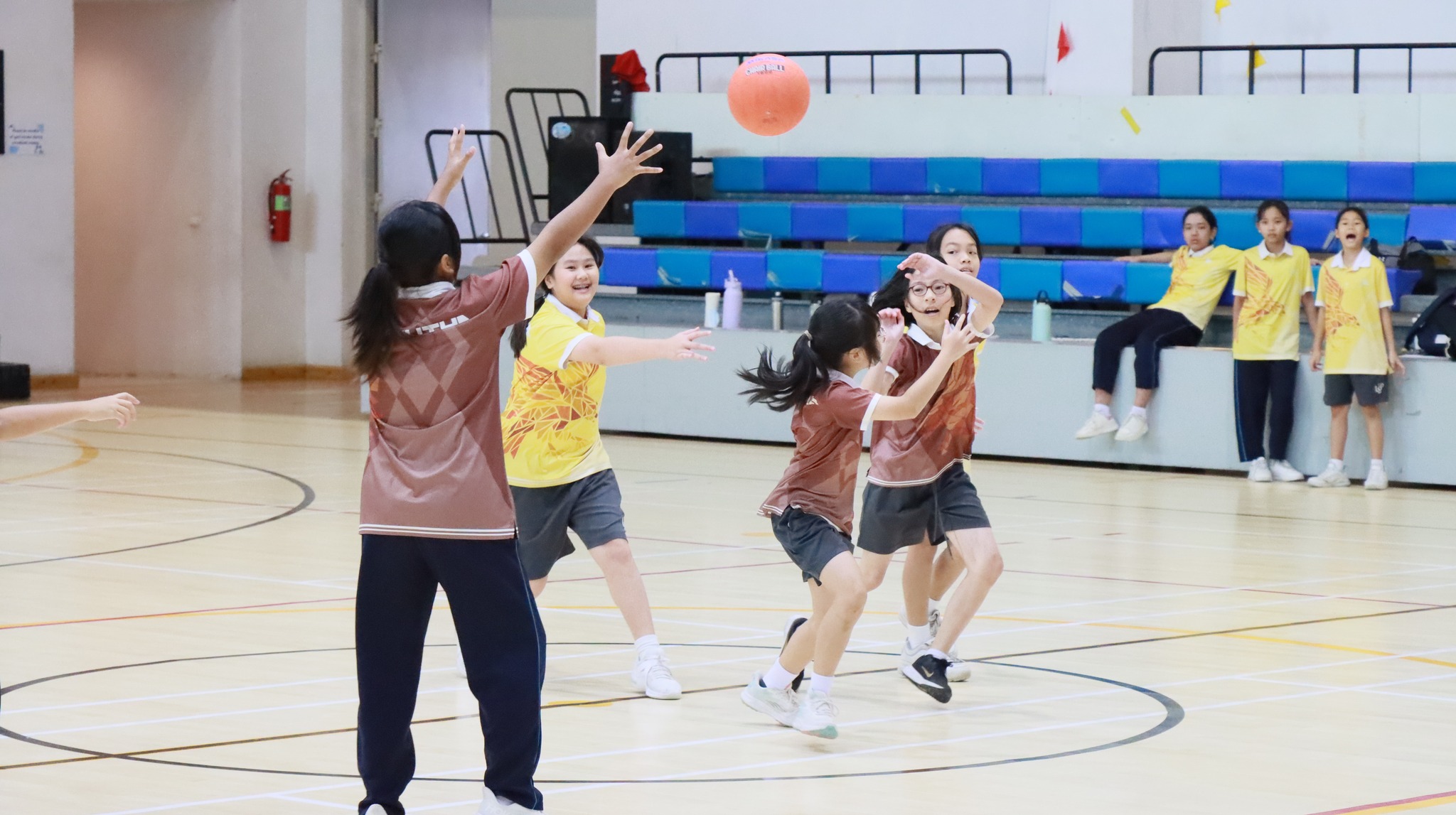 shareball_4-6 (8)