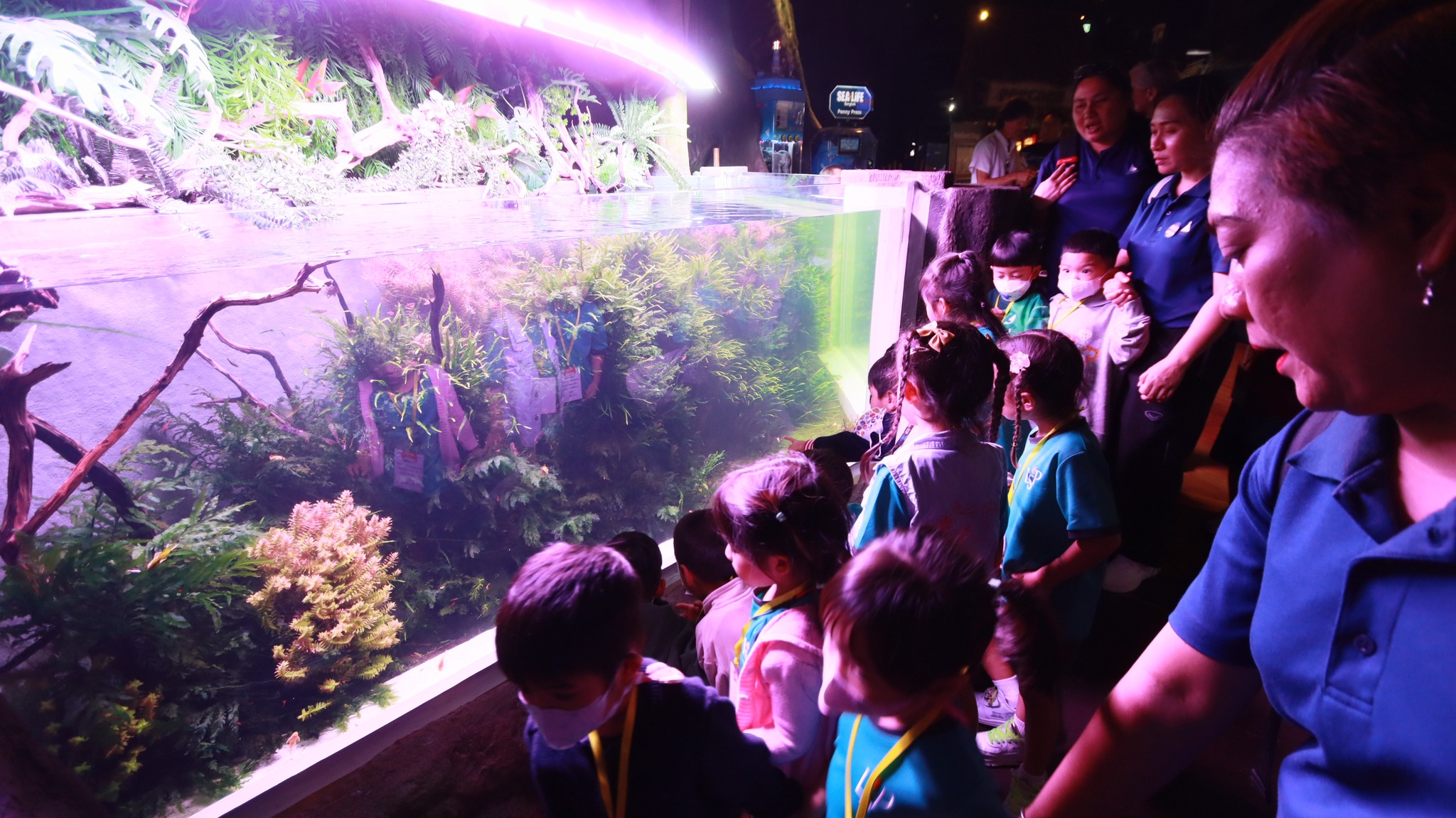 bangkok_sealife (1)