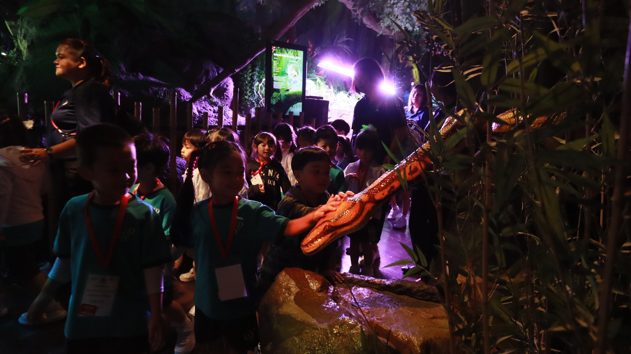bangkok_sealife (10)