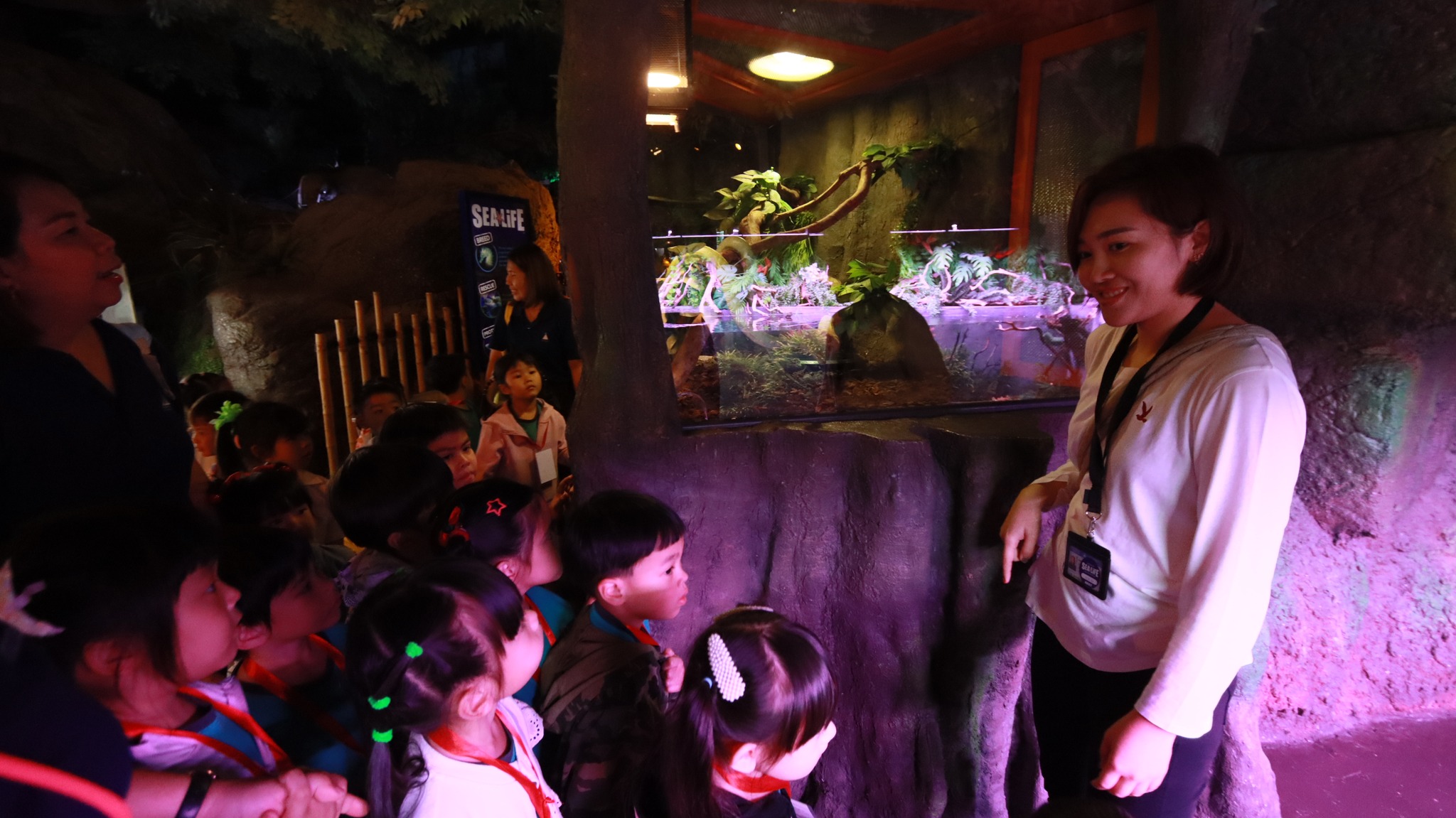 bangkok_sealife (12)