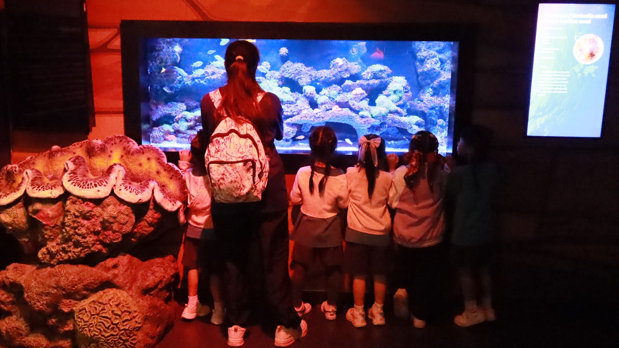 bangkok_sealife (16)