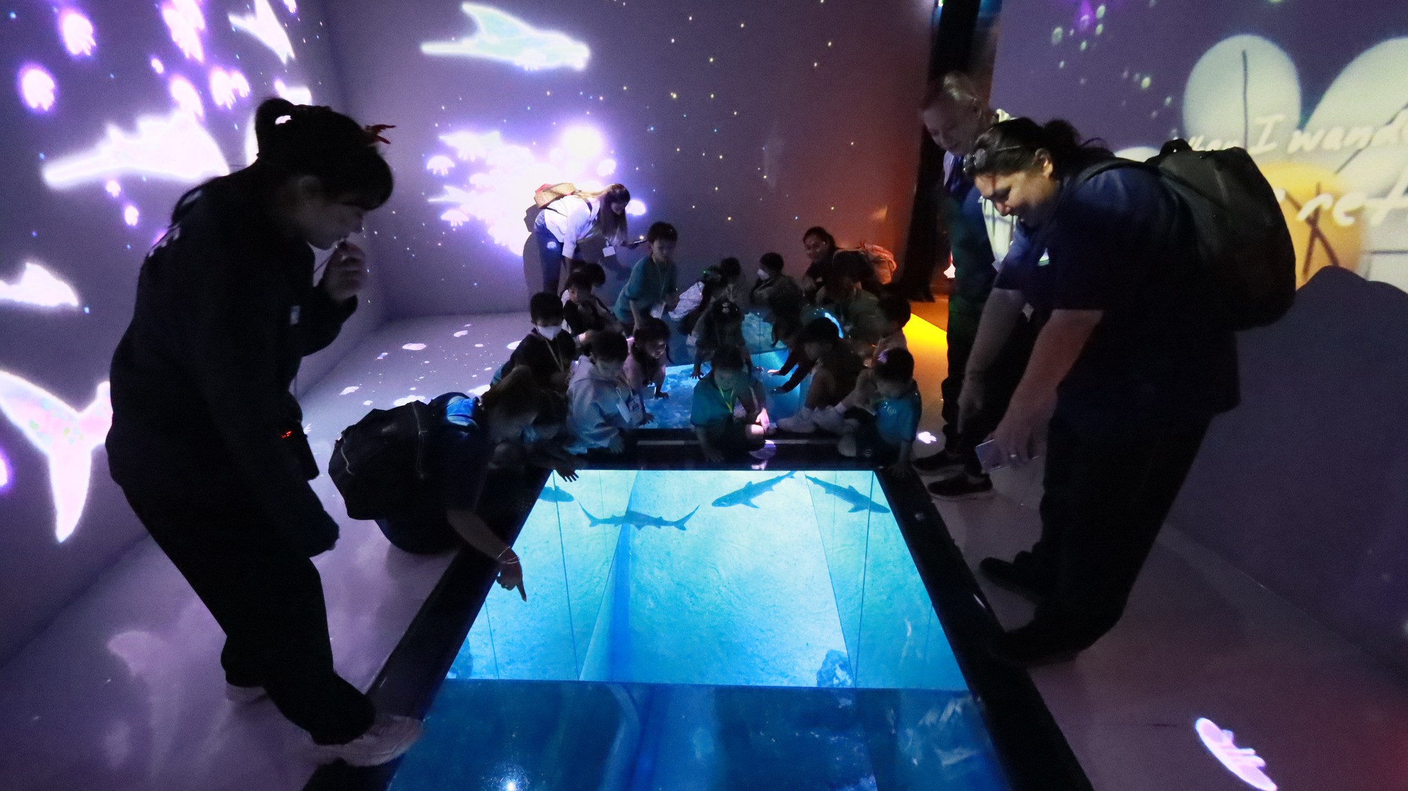 bangkok_sealife (19)