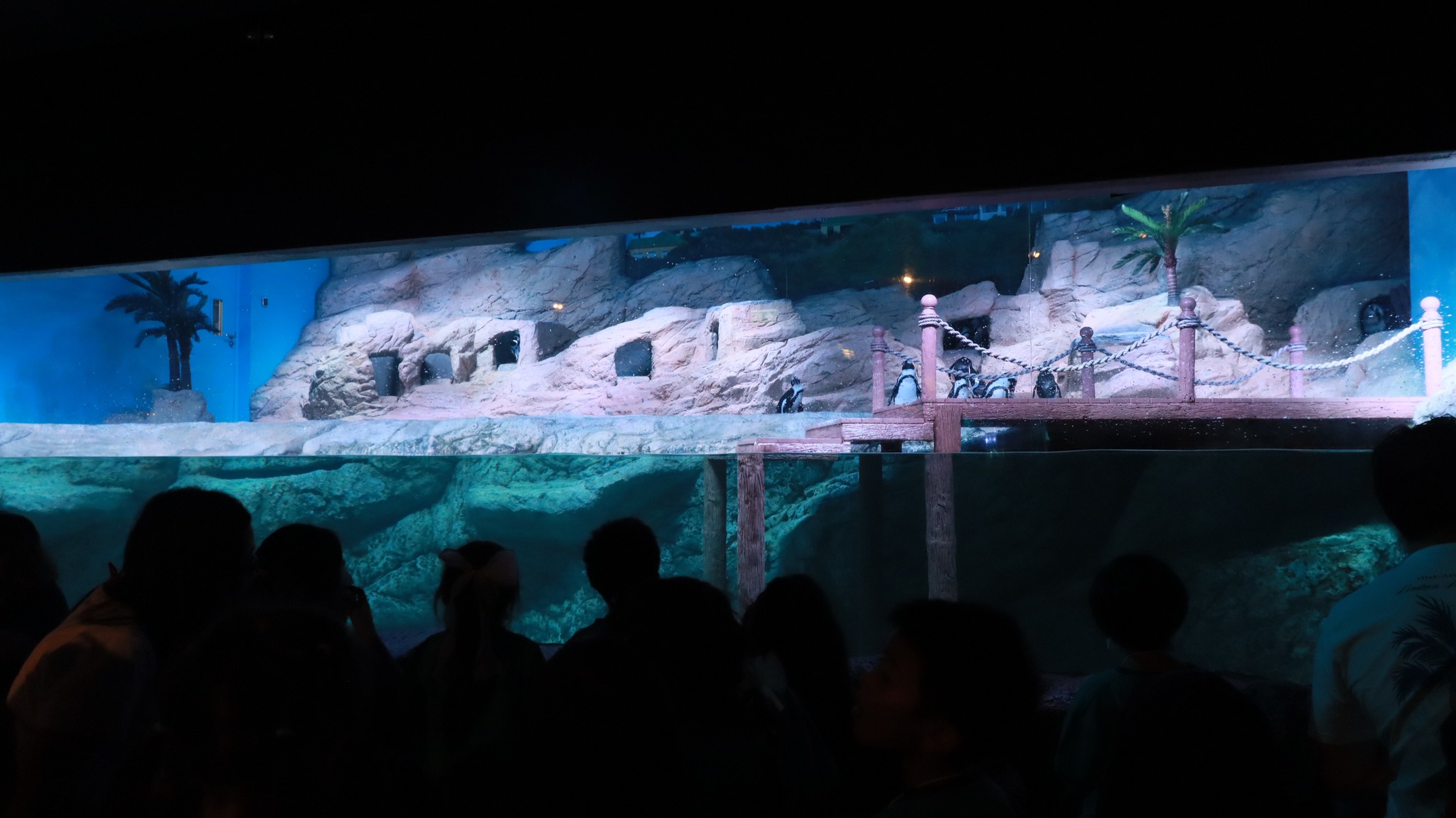 bangkok_sealife (4)