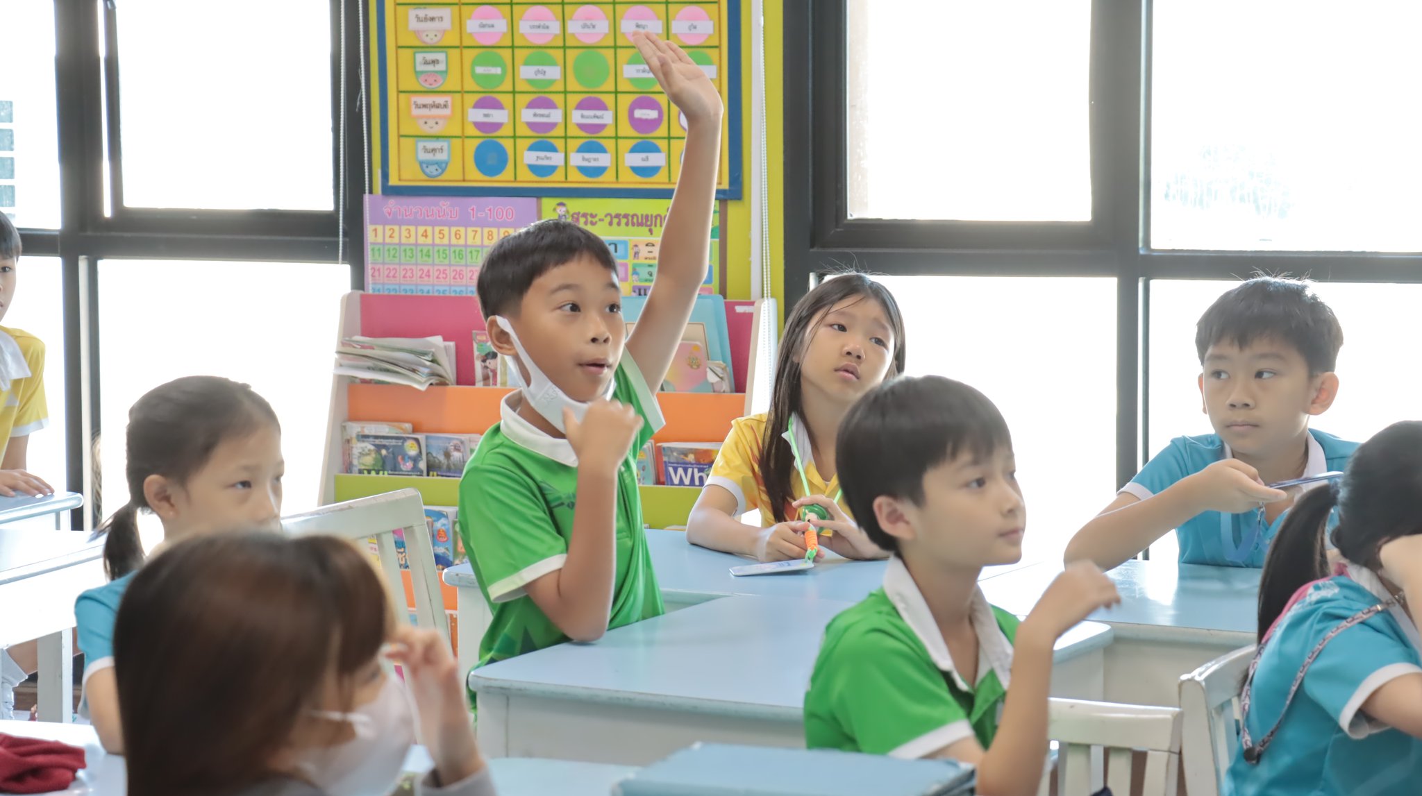primary (3)