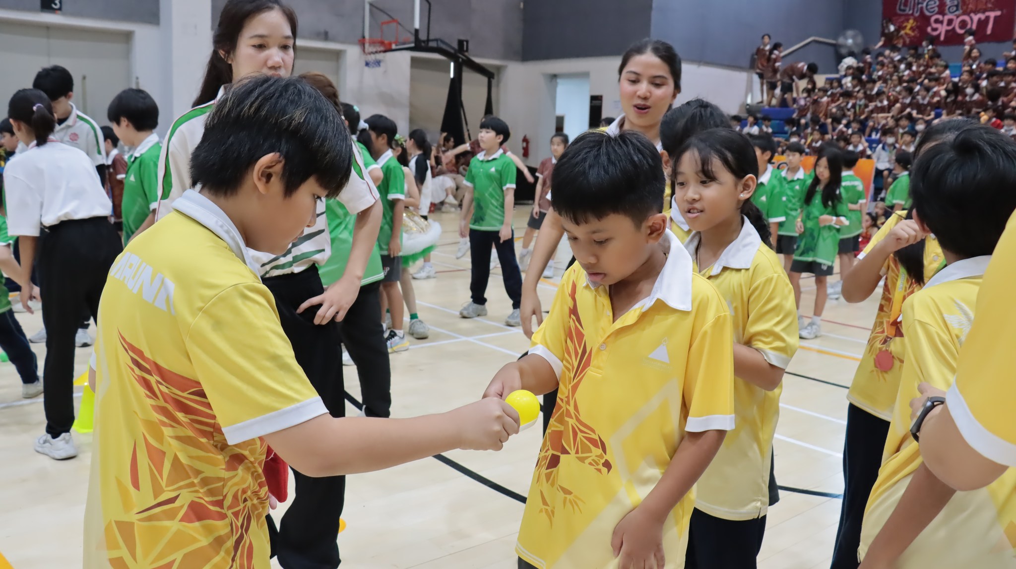 sporthahe (5)