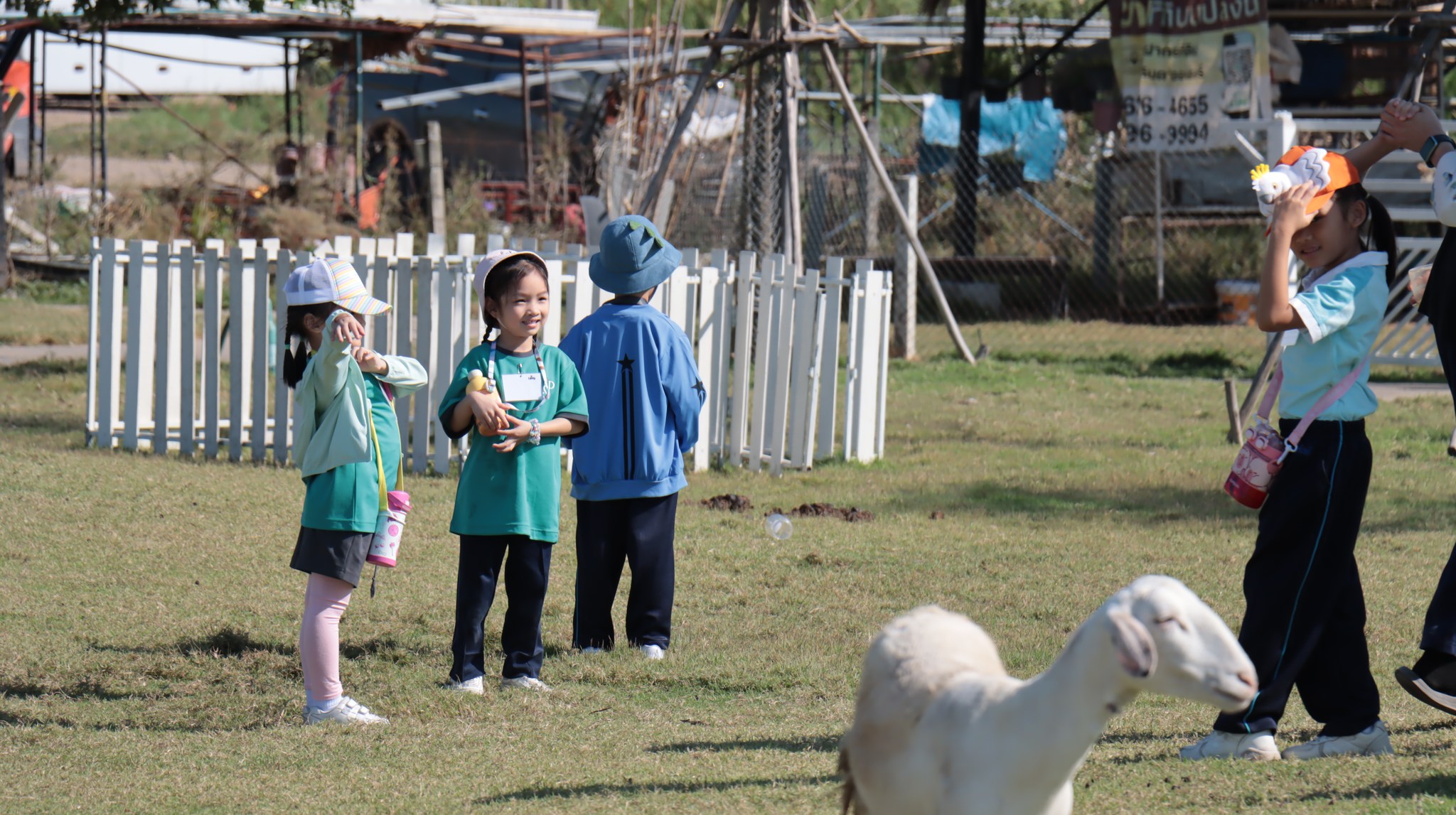 trip_k3_2567 (12)