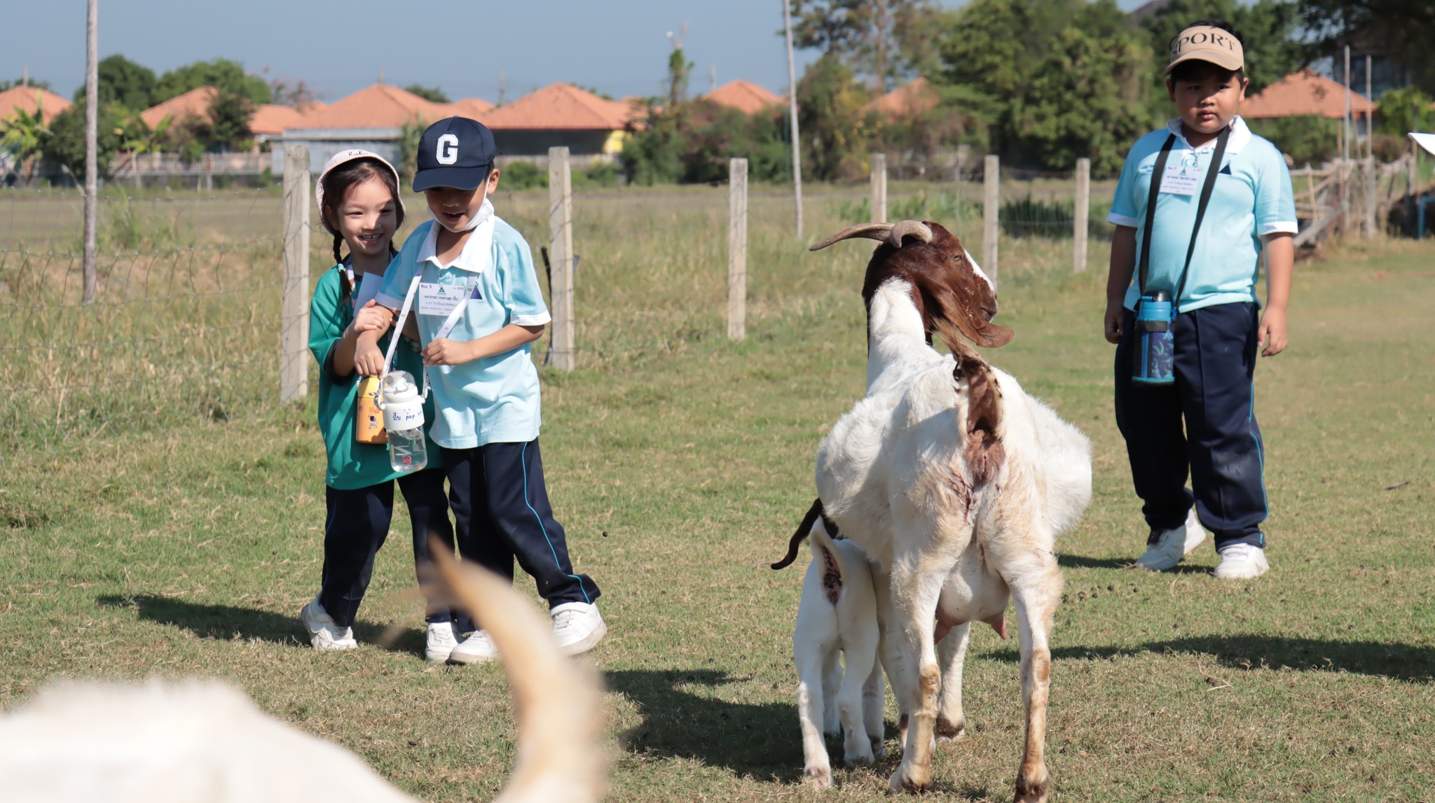 trip_k3_2567 (14)