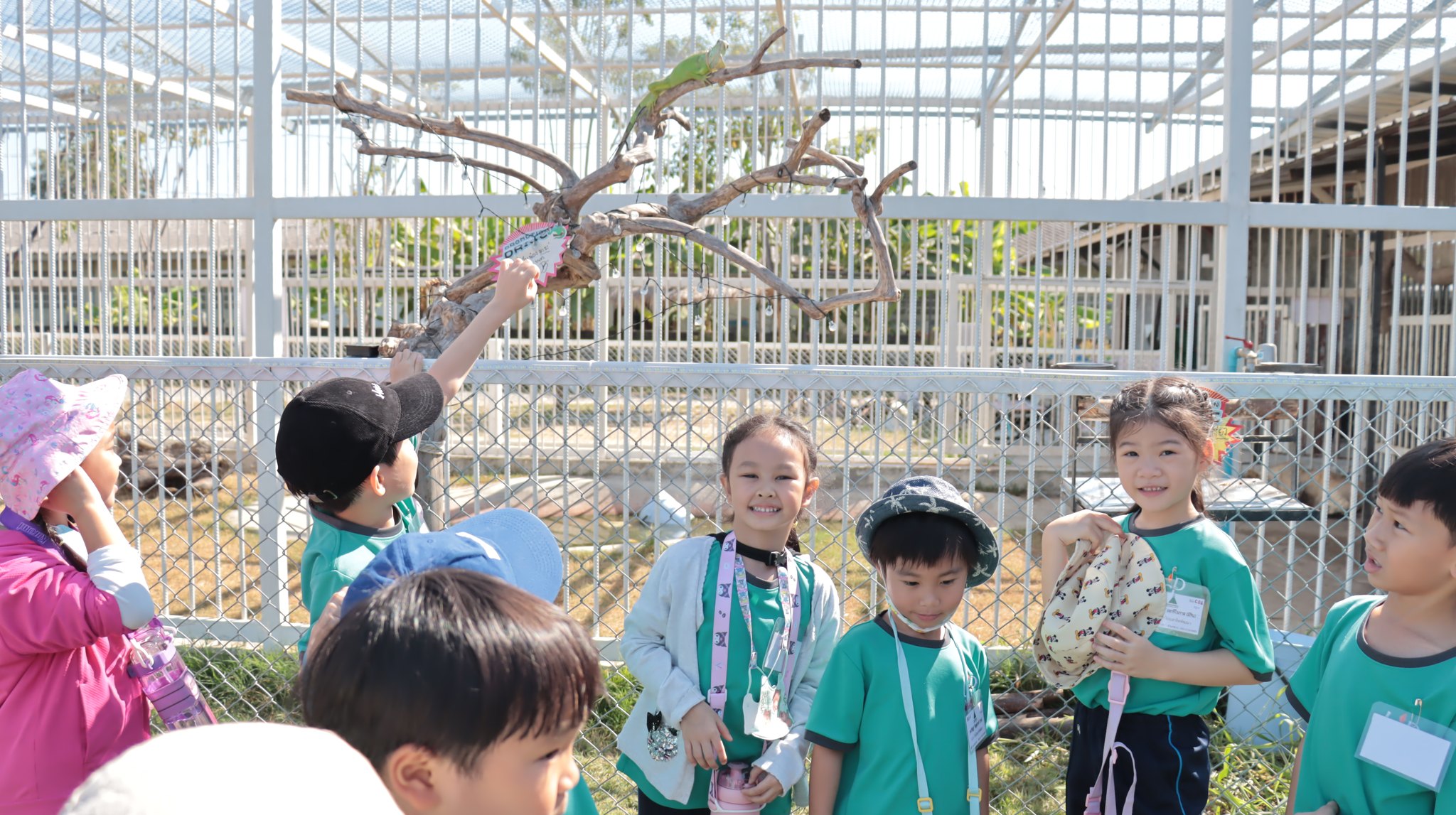 trip_k3_2567 (2)