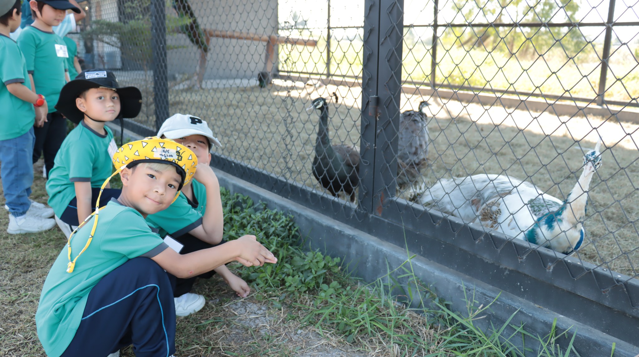 trip_k3_2567 (3)