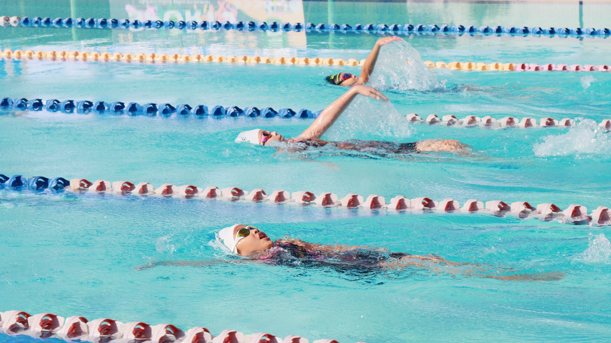 swiming_24-4-68 (15)
