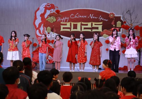chineses_newyear (17)