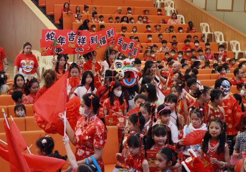 chineses_newyear (19)