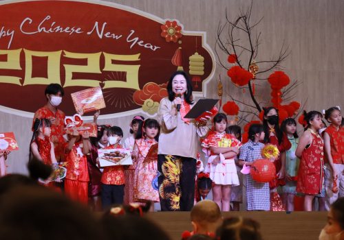 chineses_newyear (20)