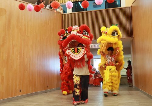 chineses_newyear (21)