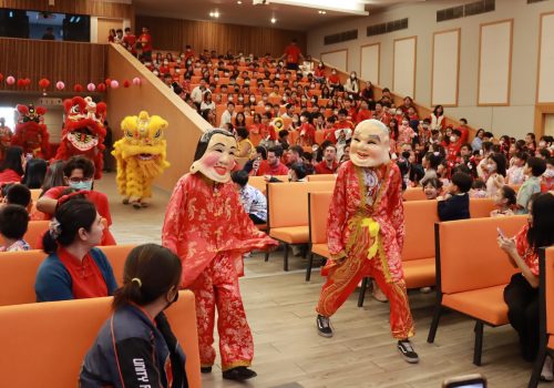 chineses_newyear (24)