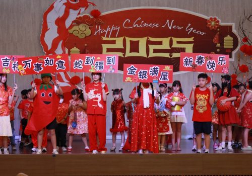 chineses_newyear (25)