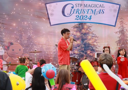 cristmast_magical (10)