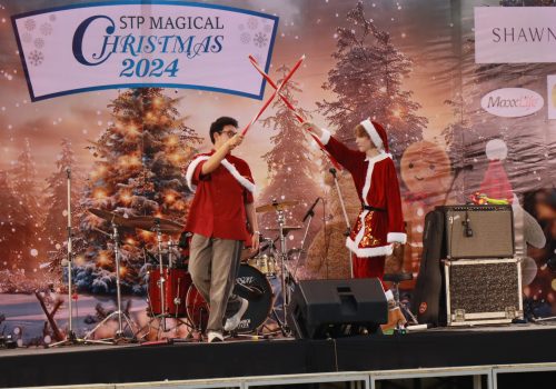 cristmast_magical (11)