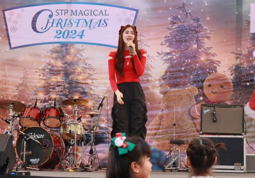 cristmast_magical (16)