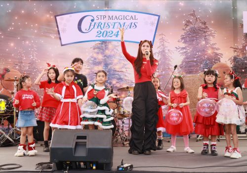 cristmast_magical (2)
