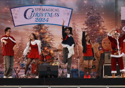 cristmast_magical (4)