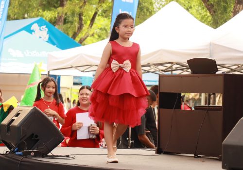 fashion (10)