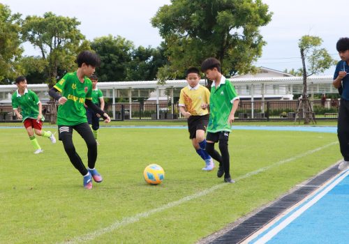 football5