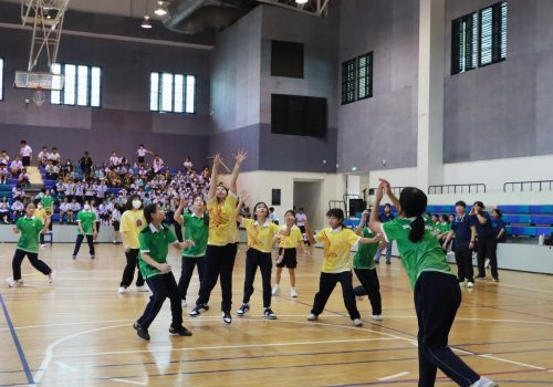 handbal10