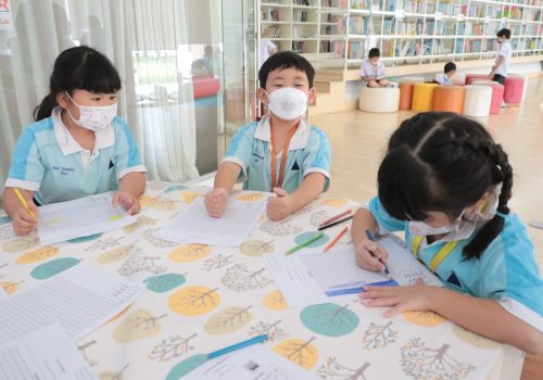 library_primary7