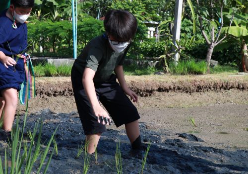make_rice5