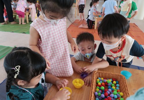 pday_kg2