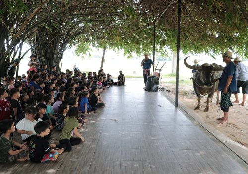teacherthani4